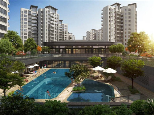 味管家玛咖鸡黄饭