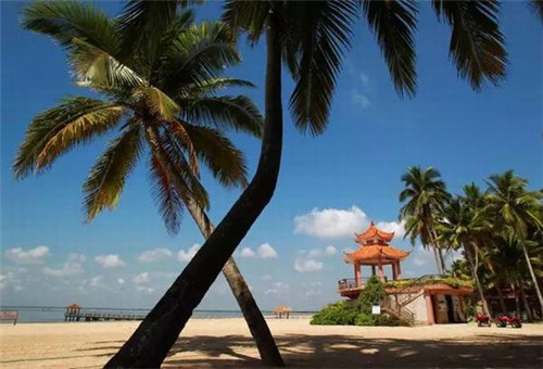 漳县有什么好玩的景点（漳县有哪些景点）