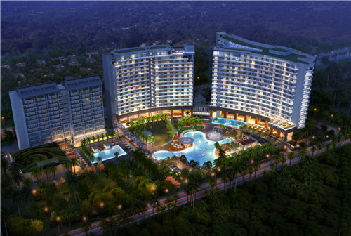 炒苦丁茶怎么炒最好吃呢（苦丁茶怎么煮好喝）