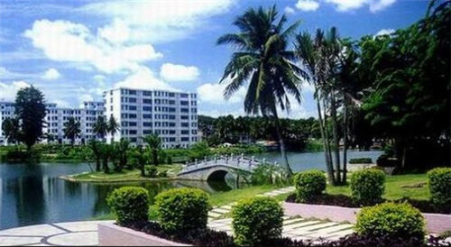 属马的都是什么歌（属马的儿歌）