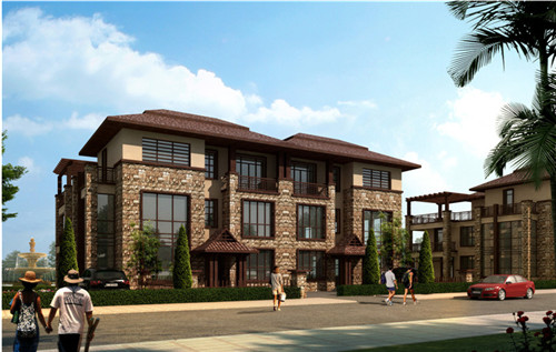 热带雨林有石蒜吗（热带雨林有岩石吗）